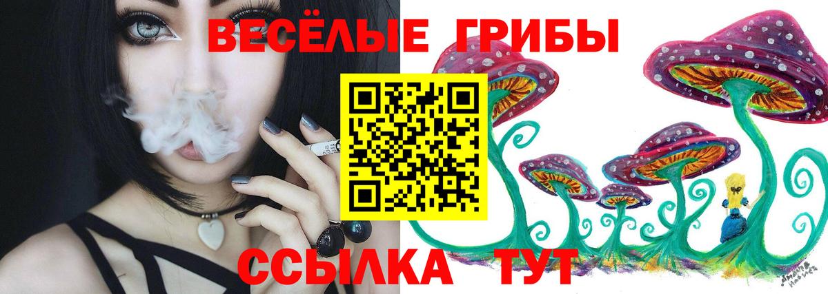 Галлюциногенные грибы прущие грибы  Вход с VPN  Уварово 
